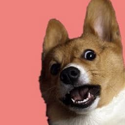 Shutting down. Please re-delegate by July 15th